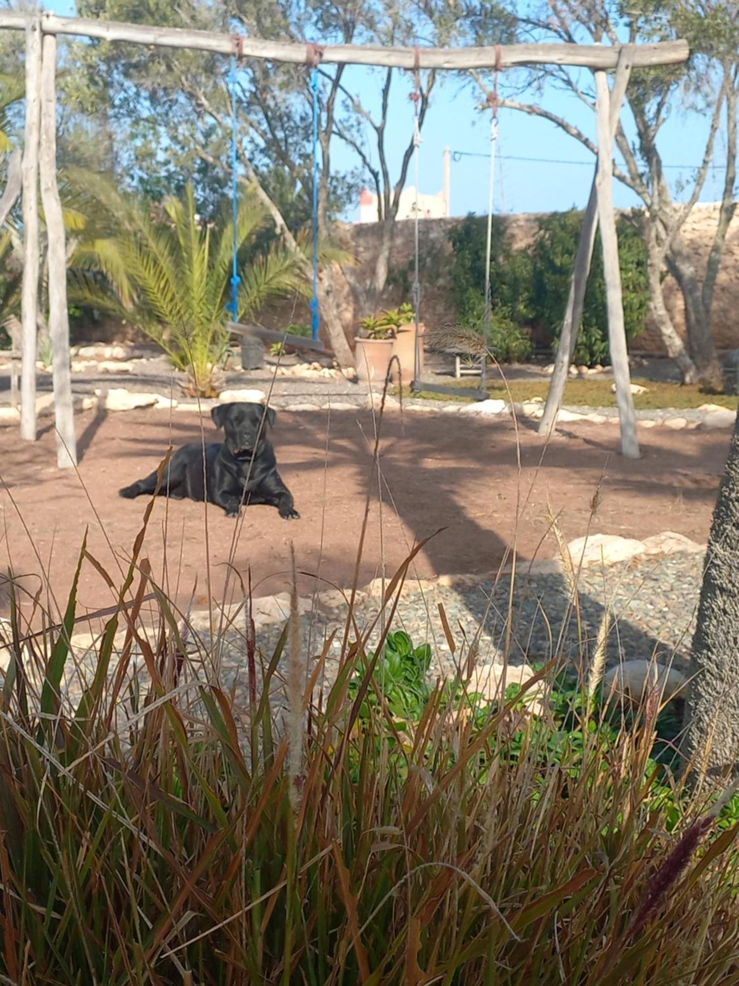 Les Jardins De Silona, Piscine Chauffee Hotel Essaouira Eksteriør billede
