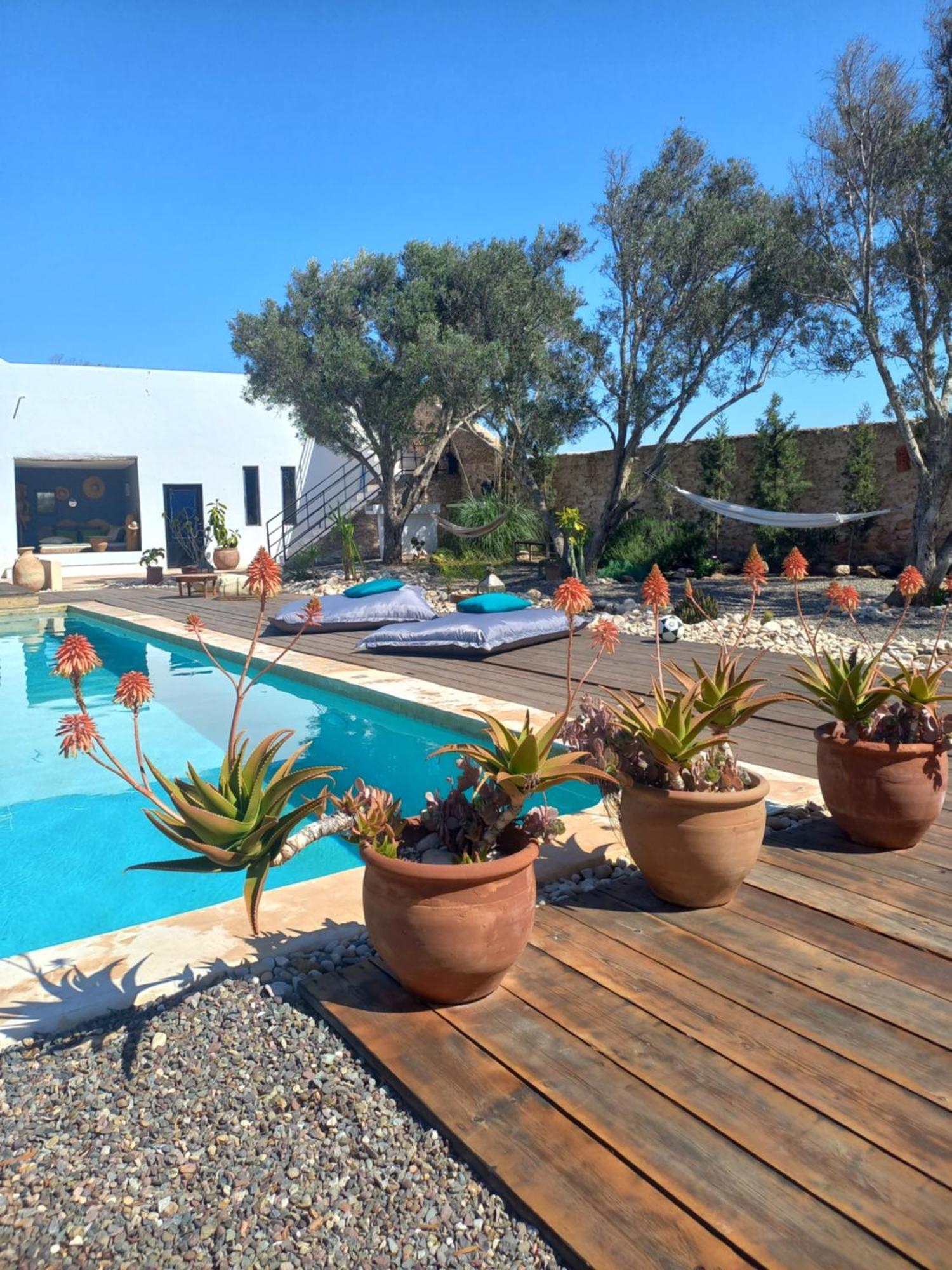 Les Jardins De Silona, Piscine Chauffee Hotel Essaouira Eksteriør billede