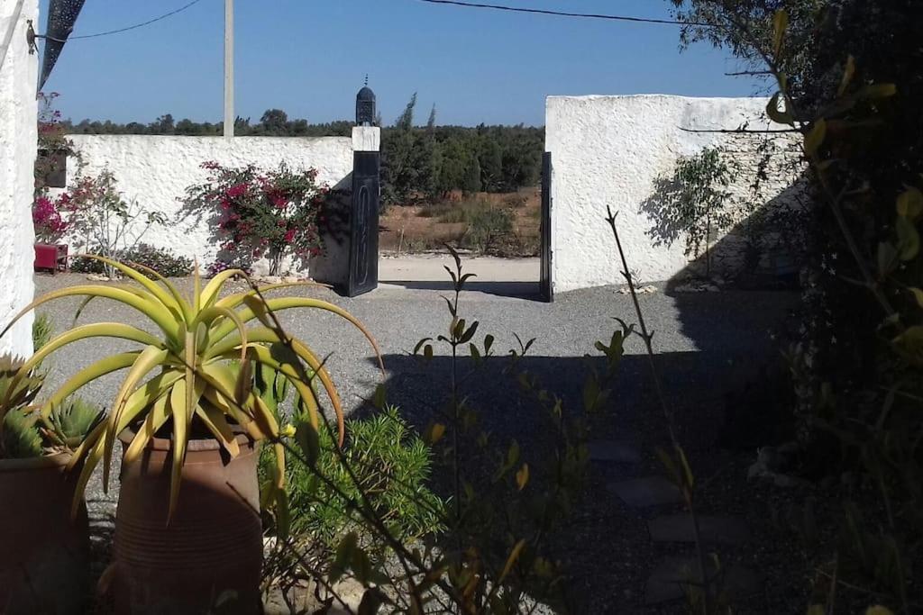 Les Jardins De Silona, Piscine Chauffee Hotel Essaouira Eksteriør billede