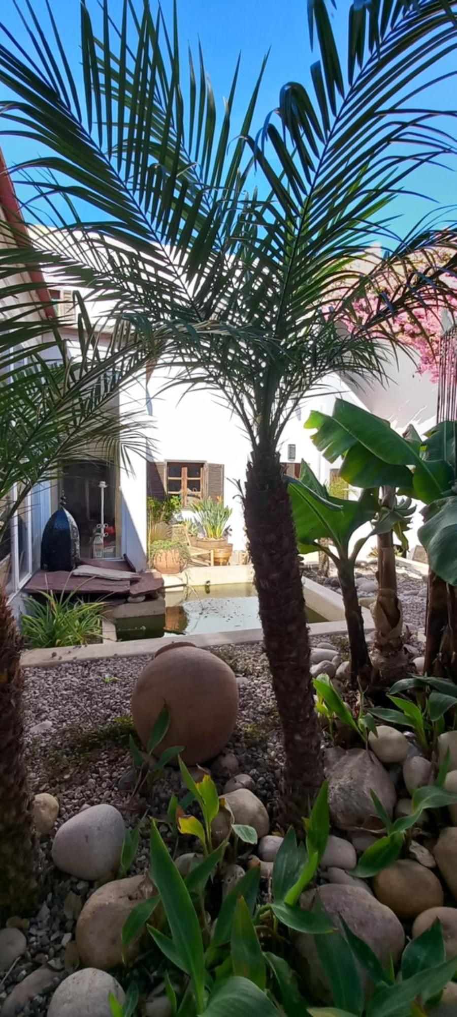 Les Jardins De Silona, Piscine Chauffee Hotel Essaouira Eksteriør billede