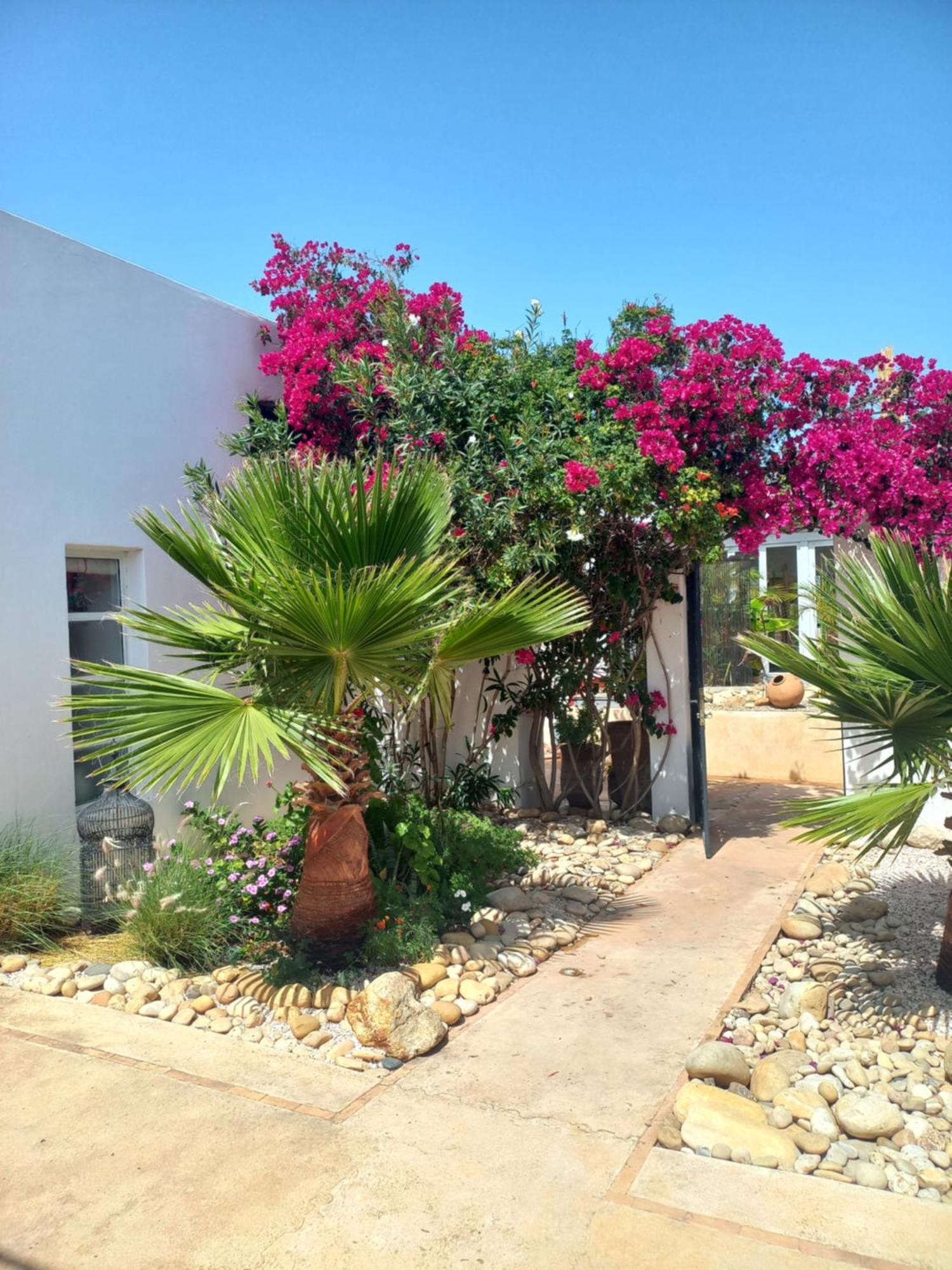 Les Jardins De Silona, Piscine Chauffee Hotel Essaouira Værelse billede